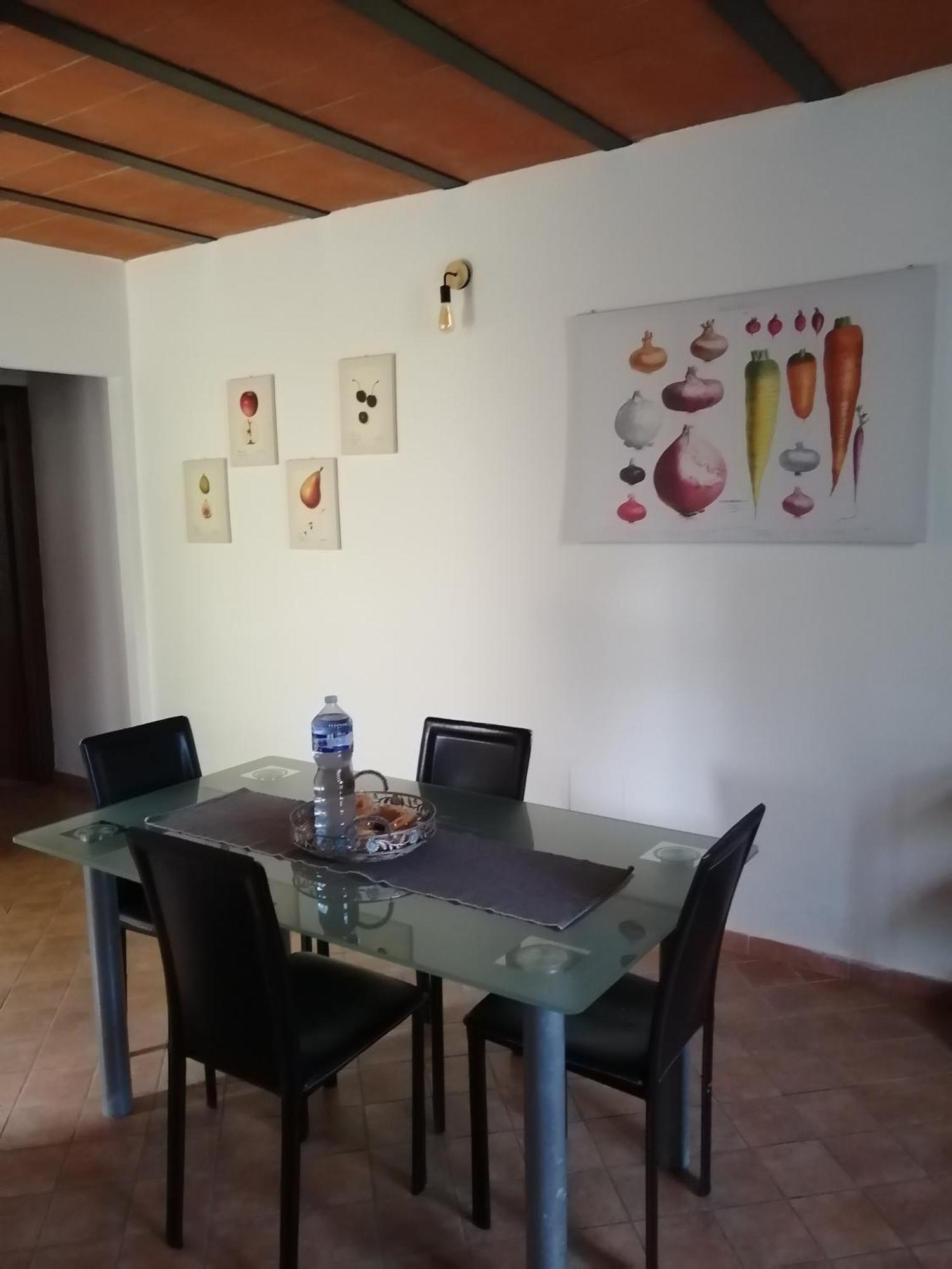 Apartament A Casa Mia Piza Zewnętrze zdjęcie