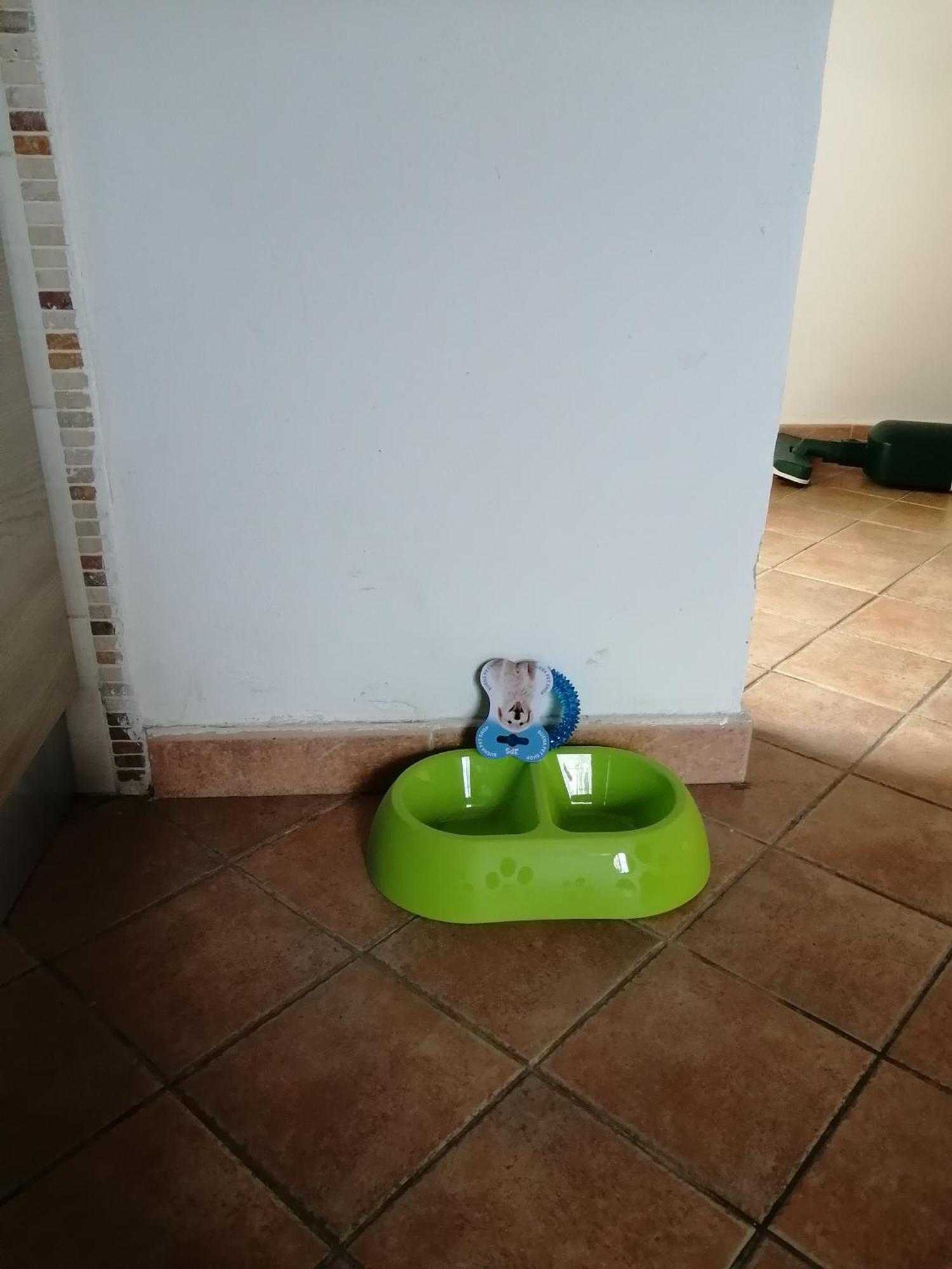 Apartament A Casa Mia Piza Zewnętrze zdjęcie
